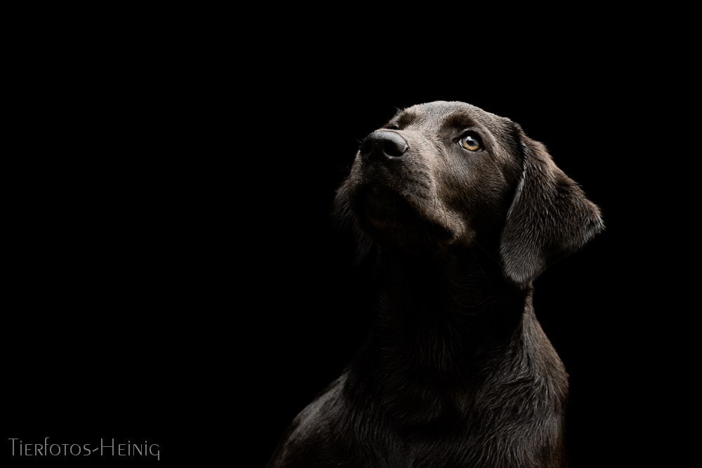 Low Key Fotografie