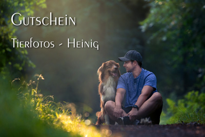 Gutschein Hund Mensch