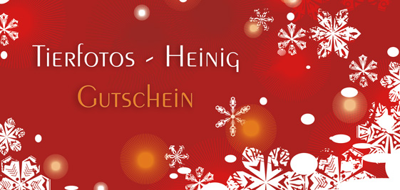 Weihnachtsgutschein